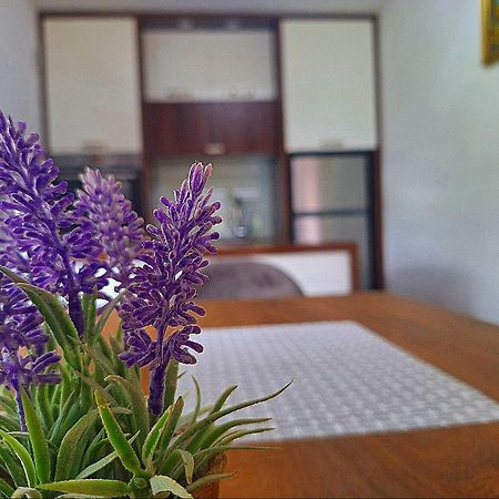Apartman Kovaci SJJ Buitenkant foto